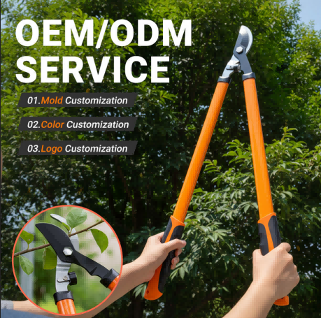 ScreenShot_2026-03-10_162451_398(1)